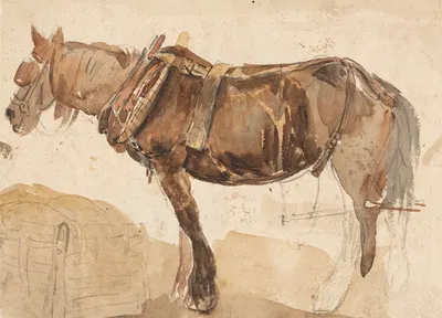 A Horse in Harness Seen From the Near Side by Томас Сидни Купер — digital art print download