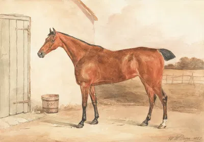 Ultima, One of Lord Maynard's Mares by William Henry Davis, 1815 — digital art print download