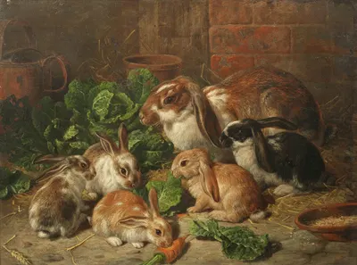 A family of rabbits by Alfred Richardson Barber — digital art print download