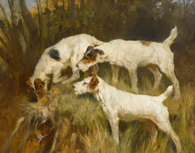 Three Wire Fox Terriers working a hole by Артур Уордл — digital art print download