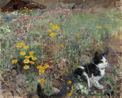 Cat on a flowery meadow by Бруно Лильефорс, 1887 — digital art print download