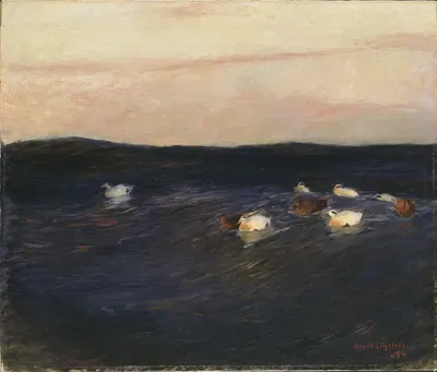 Eider Ducks by Бруно Лильефорс, 1894 — digital art print download