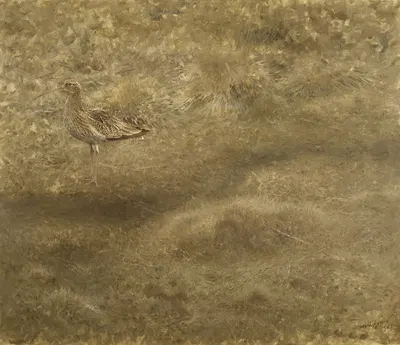 Eurasian Curlew by Бруно Лильефорс, 1907 — digital art print download