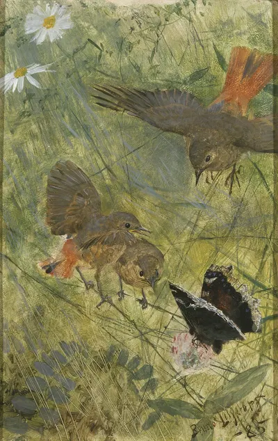 Redstarts and Butterflies by Бруно Лильефорс, 1885 — digital art print download