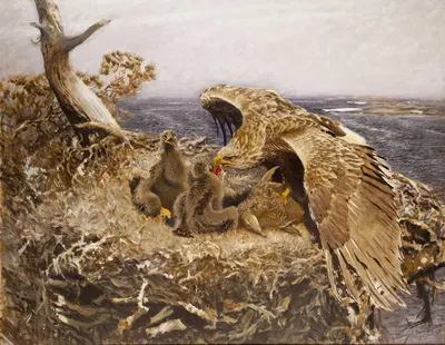 Sea Eagle's Nest by Бруно Лильефорс, 1907 — digital art print download