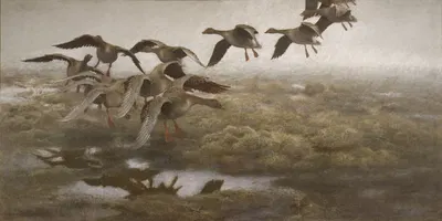 Wildgeese Settling by Бруно Лильефорс, 1907 — digital art print download