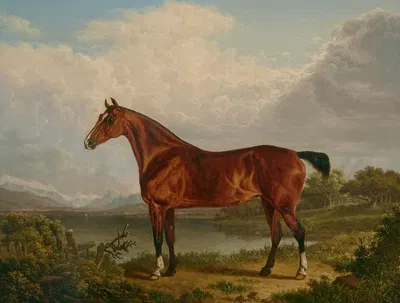 A chestnut hunter belonging to Richard Tiltey by Чарльз Таун, 1830 — digital art print download