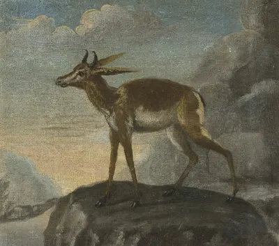 Bengal deer by David Kock — digital art print download