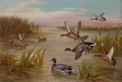 Ducks in Flight by Edgar Hunt — digital art print download
