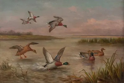 Ducks by Edgar Hunt — digital art print download
