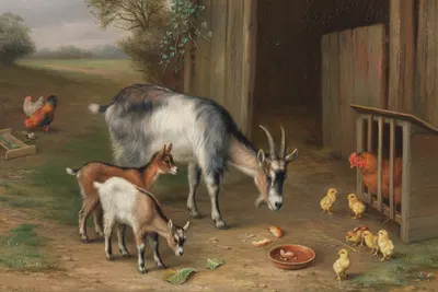 Goats and chickens in a farmyard by Edgar Hunt — digital art print download