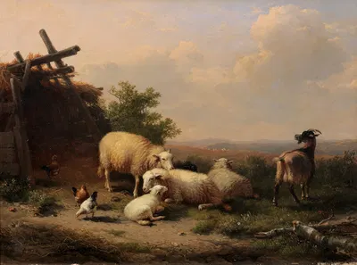 Sheep, goat and poultry by a shelter in a hilly landscape by Южен Жозеф Вербокховен, 1874 — digital art print download