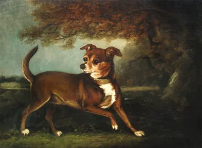 Portrait of a dog in a landscape by Генри Бернард Шалон — digital art print download
