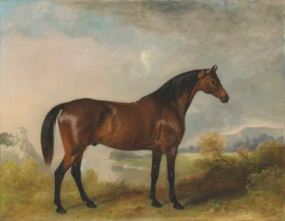 'Rodolph', a bay hunter, in an extensive landscape by Джон Фернли, 1842 — digital art print download