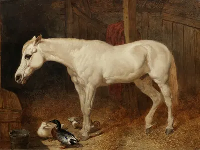 A grey horse in a stable by Джон Фредерик Херринг-старший, 1859 — digital art print download
