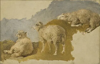 Three Sheep. Study by Килиан Цолль — digital art print download