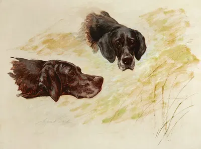 Lorne and Kate by Maud Earl — digital art print download