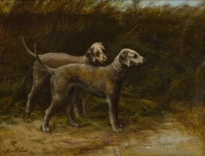 Two Bedlington terriers by Maud Earl — digital art print download