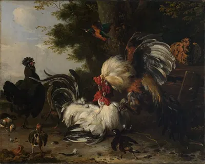 Der Krieg im Hühnerhof by Мельхиор д'Ондекайтер, 1668 — digital art print download