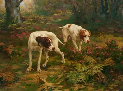 Two pointers and a hare by Percival Leonard Rosseau, 1905 — digital art print download