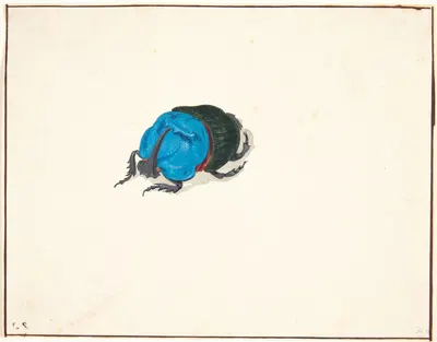 En næsehornsbille scarabaeidae by Pieter Holsteijn — digital art print download