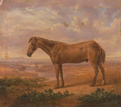 Old Billy, a Draught Horse, Aged 62 by Чарльз Таун, 1823 — digital art print download
