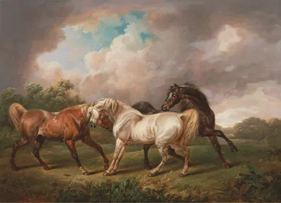Three Horses in a Stormy Landscape by Чарльз Таун, 1836 — digital art print download