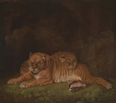 Tigers by Чарльз Таун — digital art print download