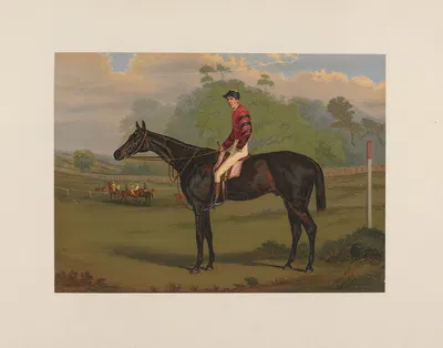 Parole; Brown Gelding by Гарри Холл, 1881-1882 — digital art print download