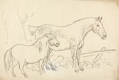 Horse and Pony by Джеймс Хоу — digital art print download