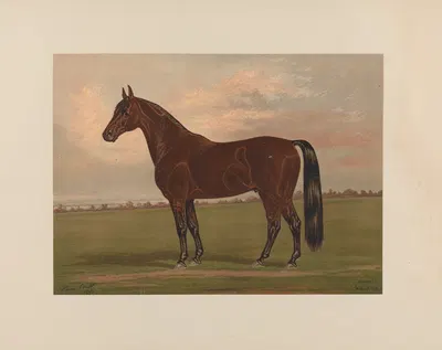 Almont by Henry Stull, 1881-1882 — digital art print download