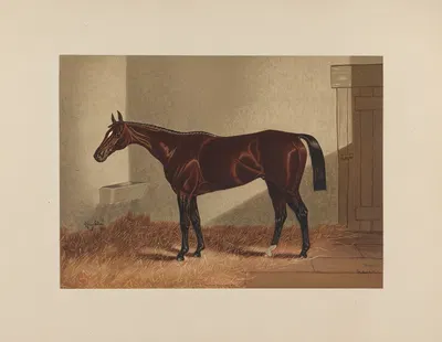 Hindoo by Henry Stull, 1881-1882 — digital art print download