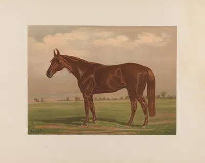 Piedmont by Henry Stull, 1881-1882 — digital art print download
