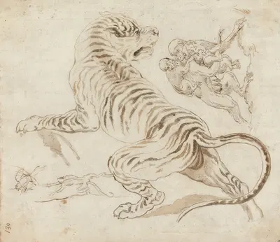 Study for a Tiger and Monkeys by Джеймс Норткот — digital art print download