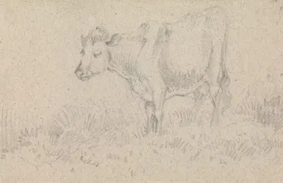 A Cow by Джон Кром — digital art print download