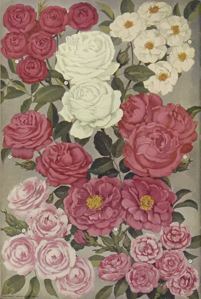 Roses by Stark Bro's Nurseries & Orchards Co., 1916 — digital art print download