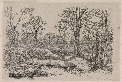 Felled Timber, Burningham by John Middleton — digital art print download