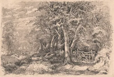 Gunton Park by Джон Миддлтон, c.1852 — digital art print download