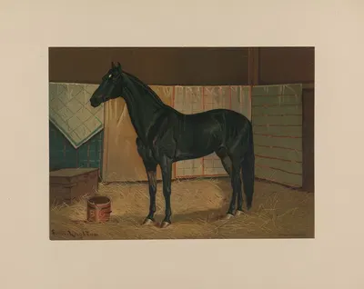 Black Cloud by Скотт Лейтон, 1881-1882 — digital art print download