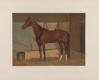 Clingstone by Скотт Лейтон, 1881-1882 — digital art print download