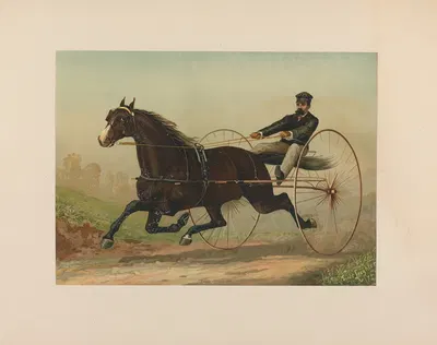 Smuggler by Скотт Лейтон, 1881-1882 — digital art print download