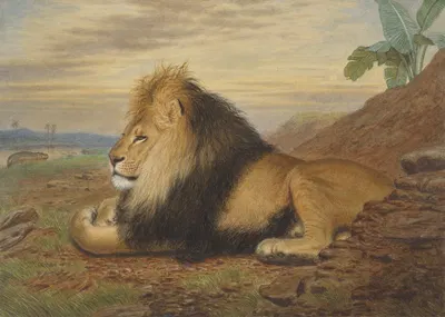 A Lion by Thomas William Wood — digital art print download