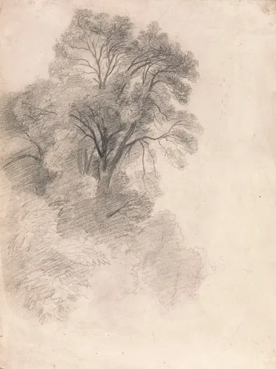 Study of Ash Trees by Lionel Constable — digital art print download
