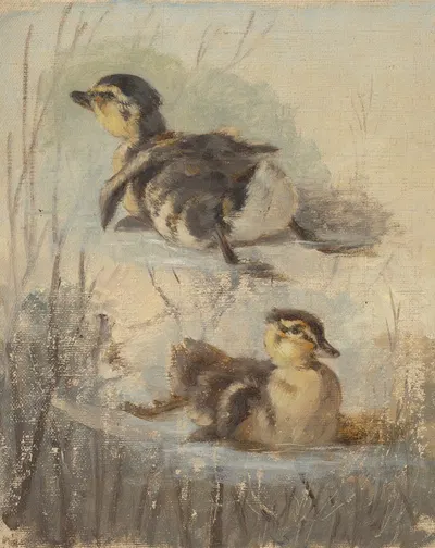 Study of Ducks on the Water II. by Фридрих Карл фон Шейдлин, 1840 — digital art print download