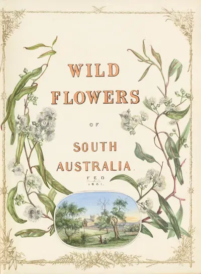 Wild flowers of South Australia - cover by Fanny Elizabeth de Mole, 1861 — digital art print download