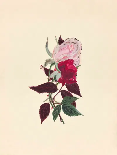 Album containing watercolors of plants Pl.10 by Американская школа, 1878-1881 — digital art print download