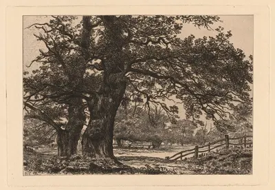 Oaks in Sherwood Forest by Richard Samuel Chattock, 1881 — digital art print download