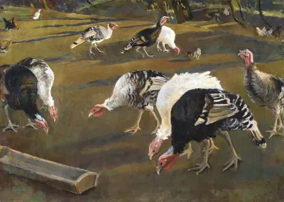 Turkeys by Адольф Феньеш — digital art print download