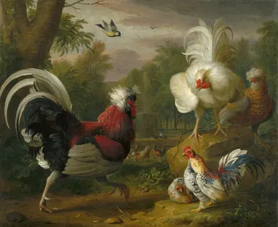 The Cockrel's Fight by Jakob Bogdani, 1706 — digital art print download