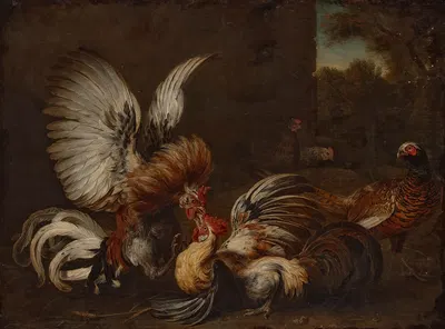 Two cocks fighting in a farmyard, a pheasant and two hens nearby by Александр Франсуа Деспор, 1713 — digital art print…